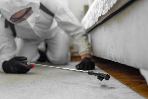 Professional Emergency Pest Control technician working in Northwest Harborcreek, PA