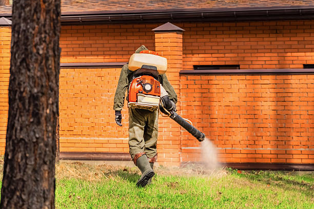 Trusted Ant Control service in Northwest Harborcreek, PA - Nex Pest Control